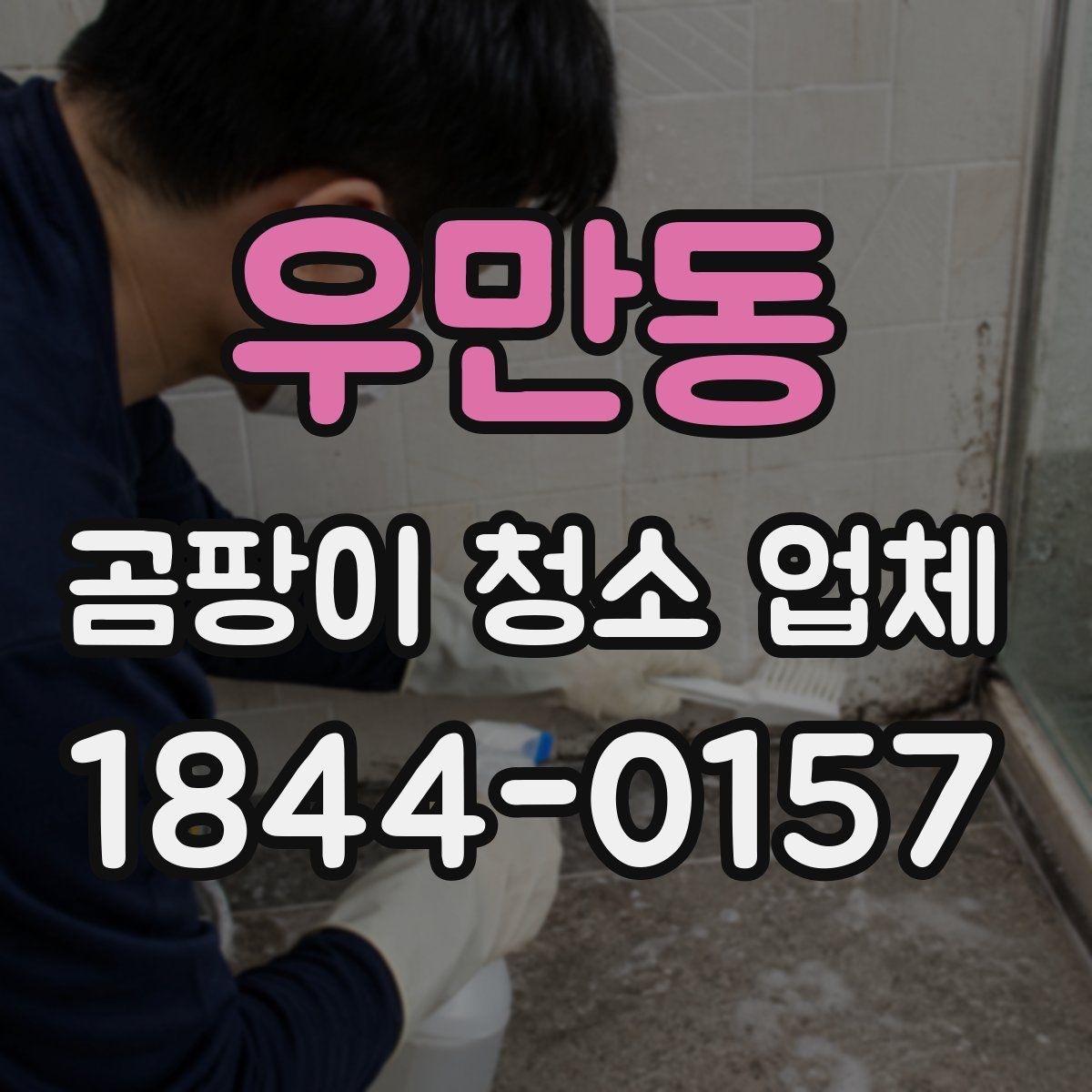 우만동 곰팡이 청소 업체