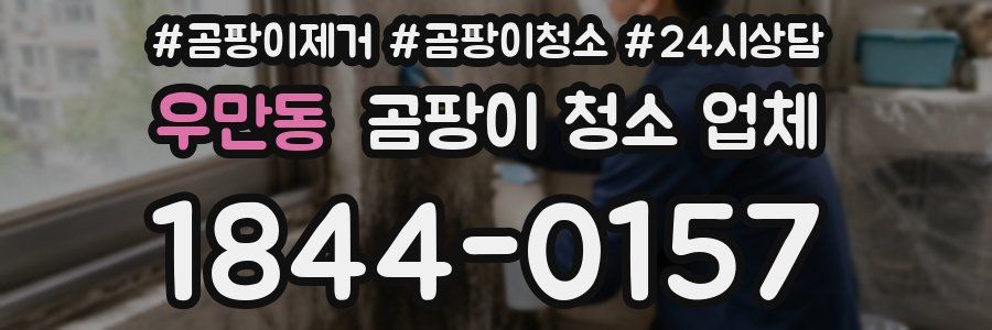우만동 곰팡이 청소 업체