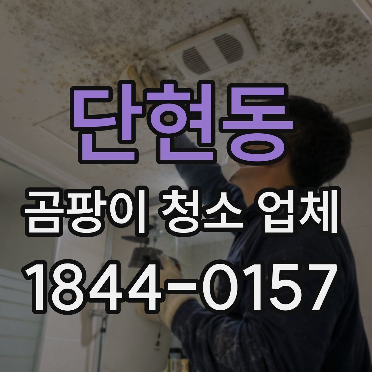 단현동 곰팡이 청소 업체 창틀과 천장 오염이 번졌을 때 살피는 법