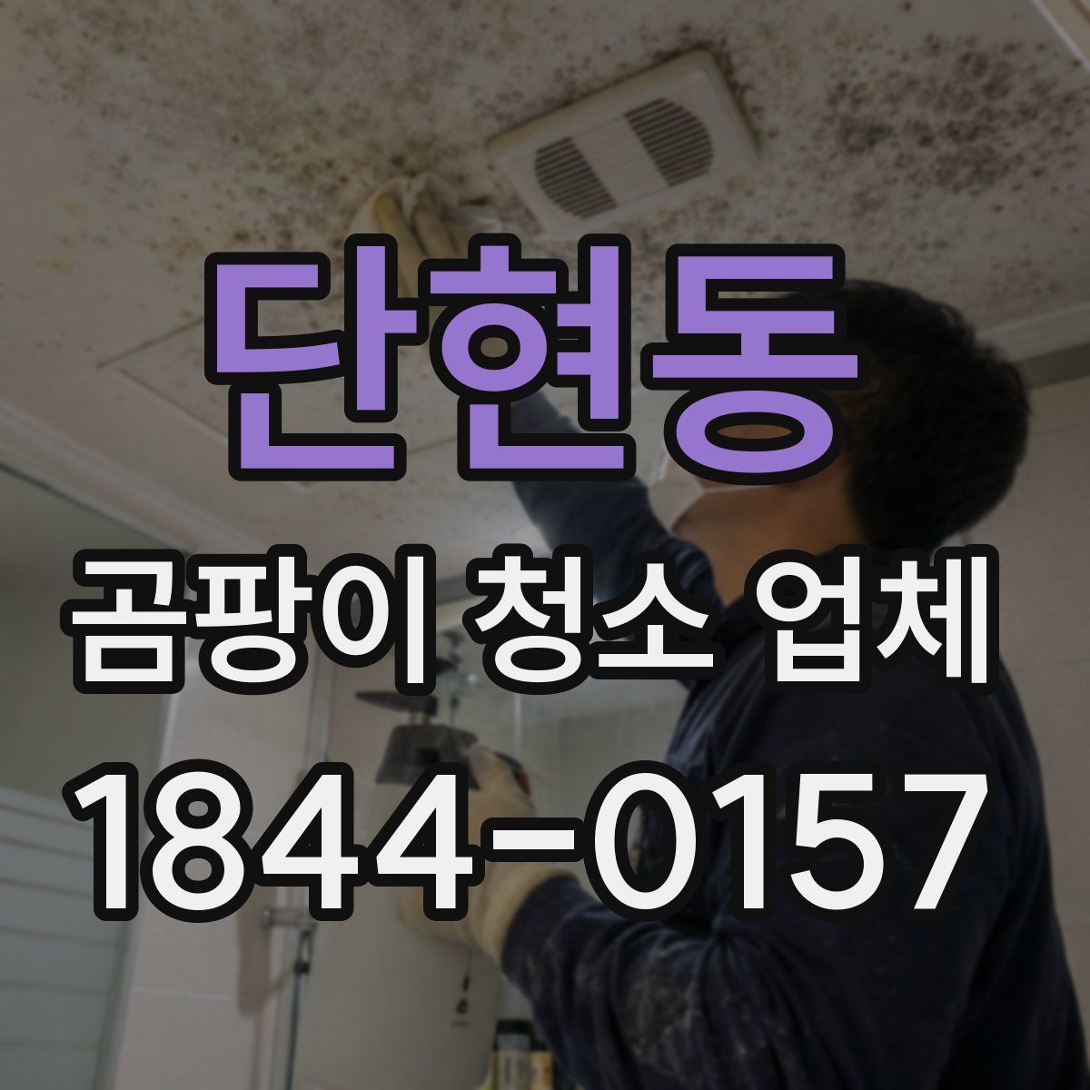 단현동 곰팡이 청소 업체