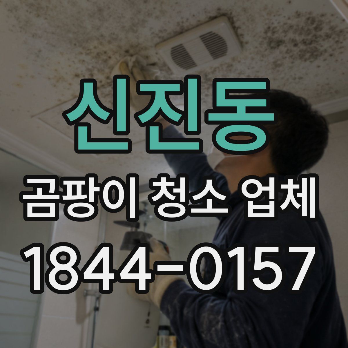 신진동 곰팡이 청소 업체