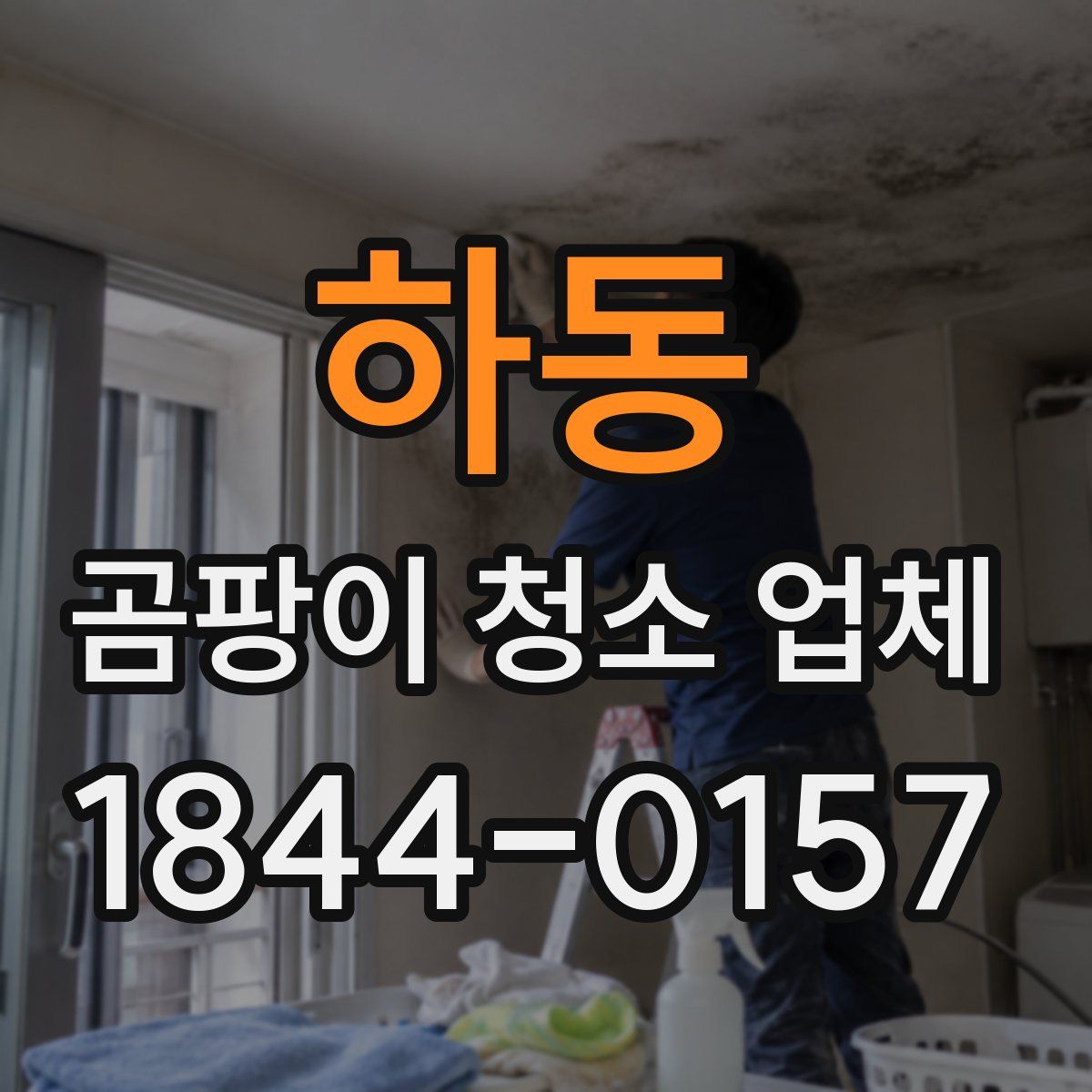 하동 곰팡이 청소 업체