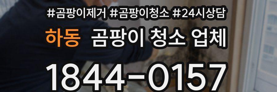 하동 곰팡이 청소 업체