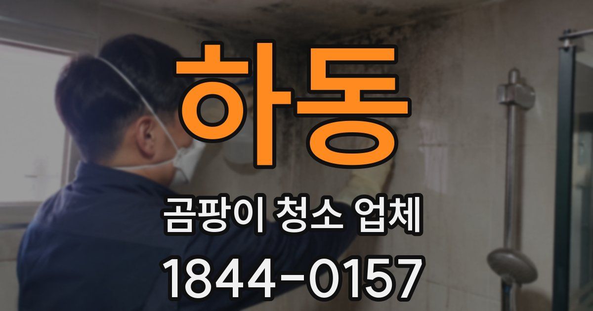 하동 곰팡이 청소 업체