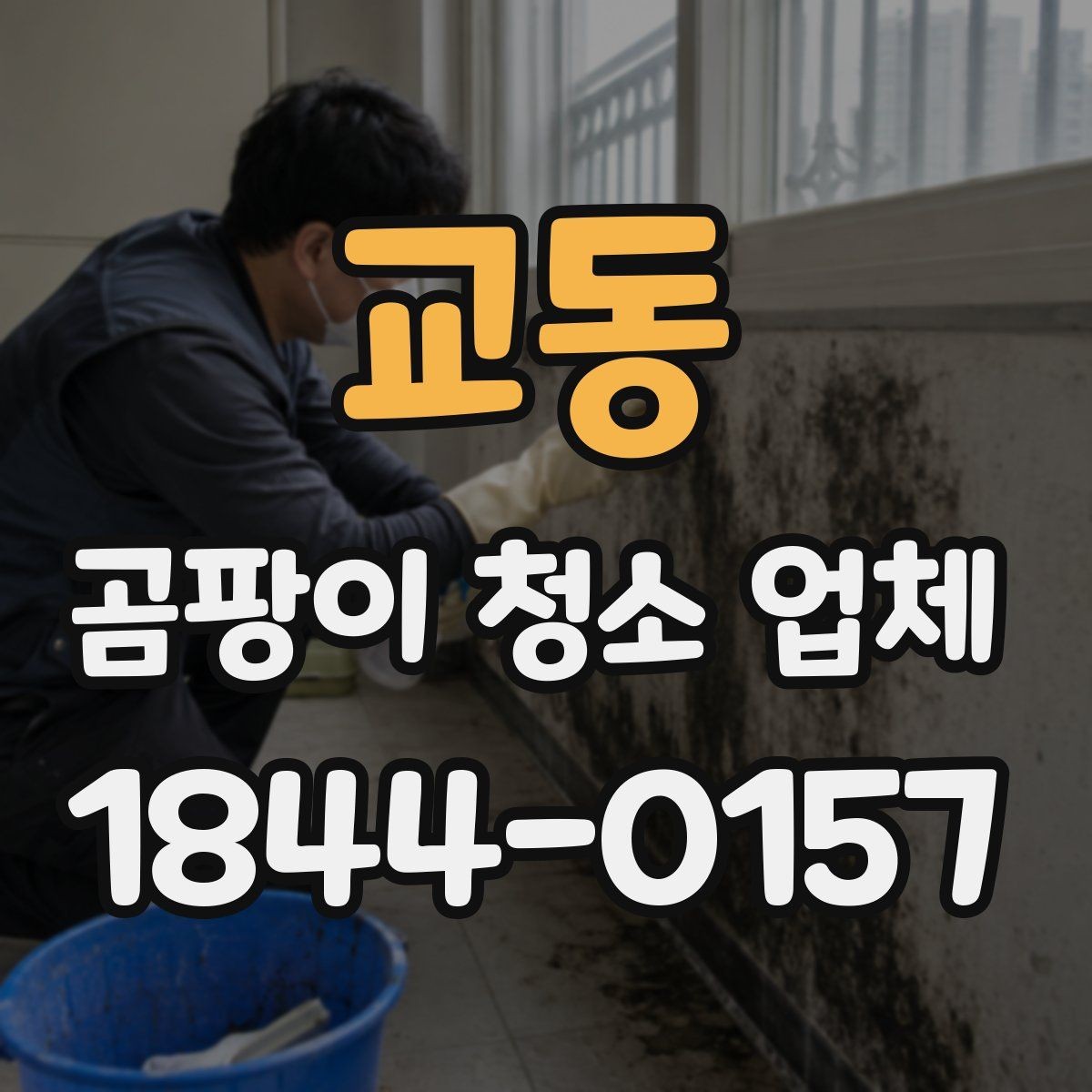 교동 곰팡이 청소 업체 반려동물 알레르기 걱정될 때 확인할 기준