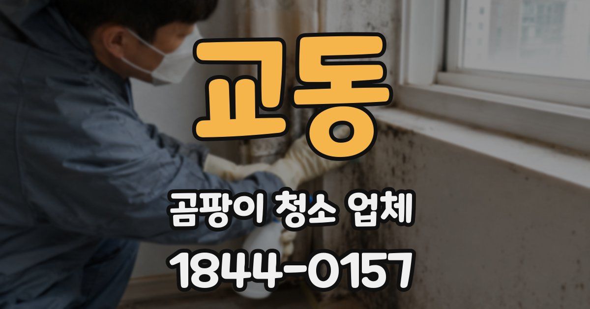 교동 곰팡이 청소 업체