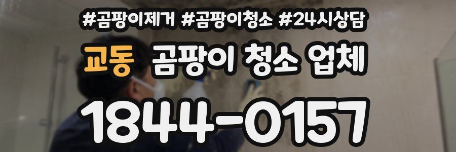 교동 곰팡이 청소 업체