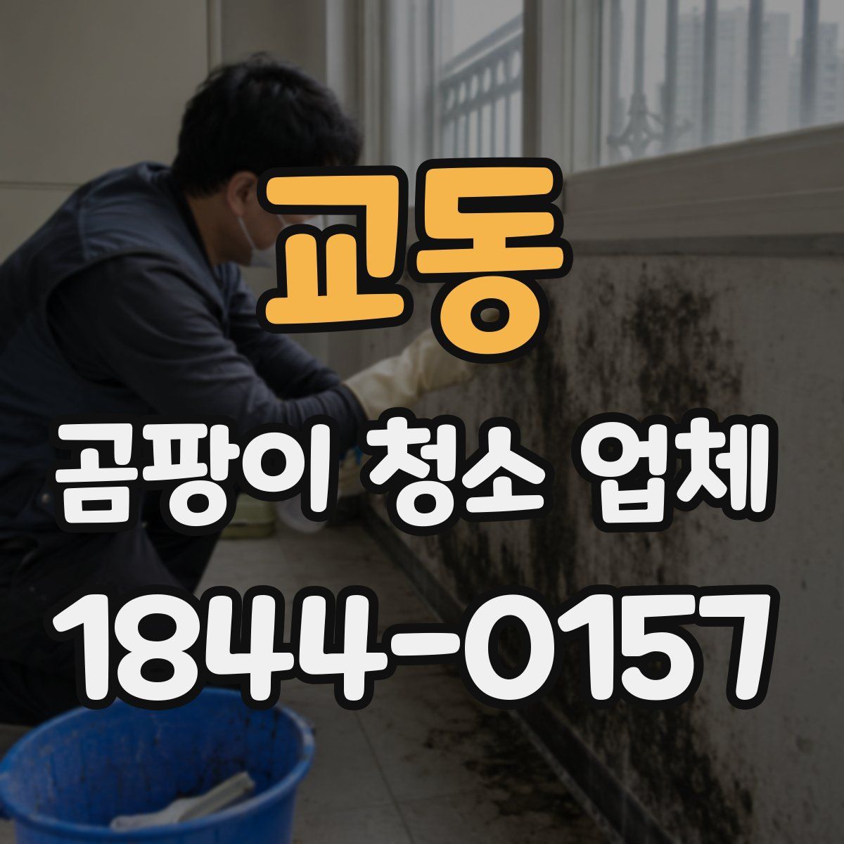 교동 곰팡이 청소 업체
