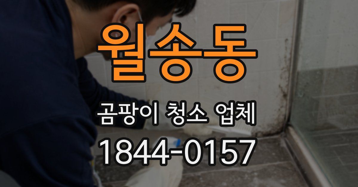 월송동 곰팡이 청소 업체