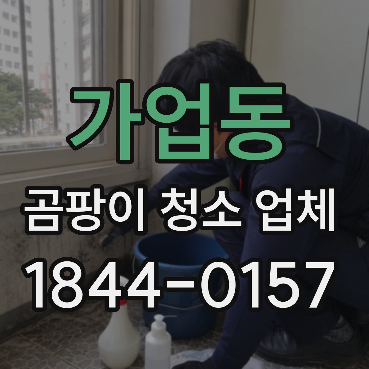 가업동 곰팡이 청소 업체
