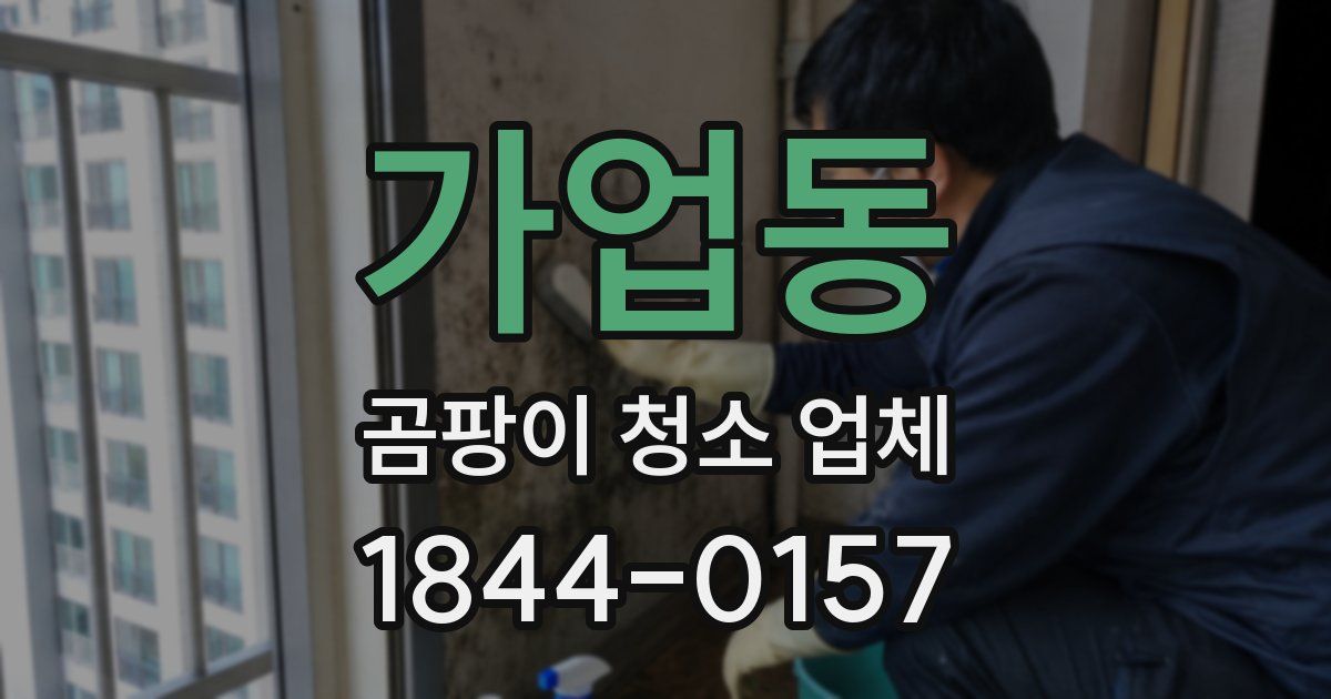 가업동 곰팡이 청소 업체