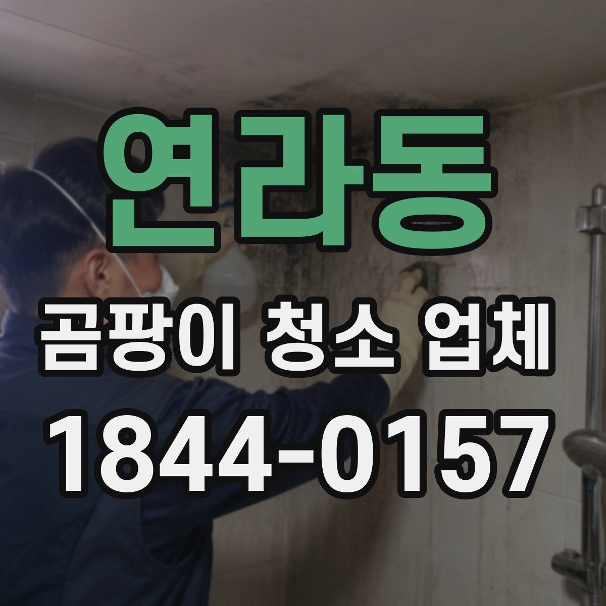 연라동 곰팡이 청소 업체