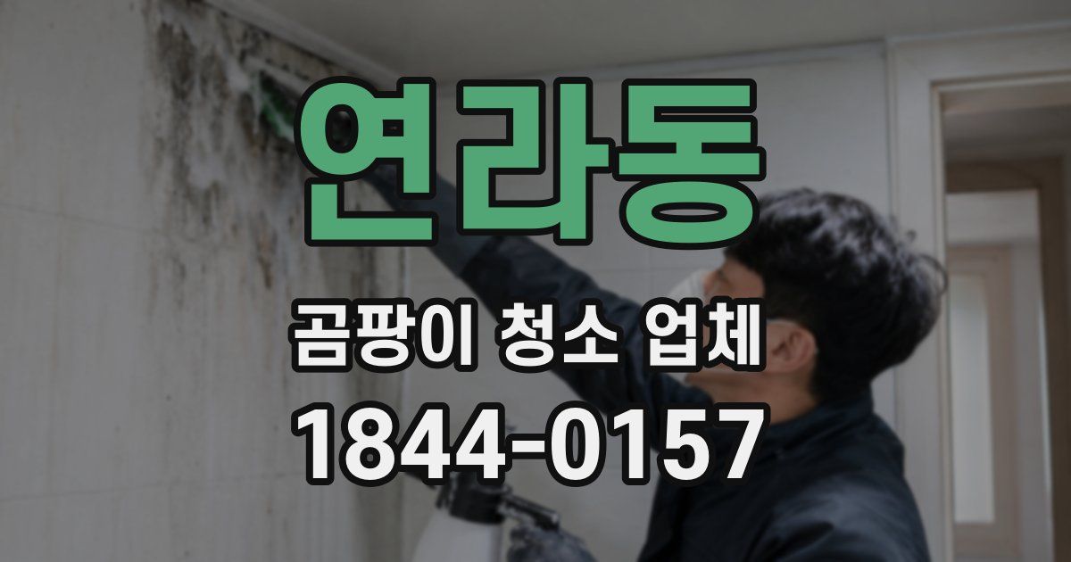 연라동 곰팡이 청소 업체
