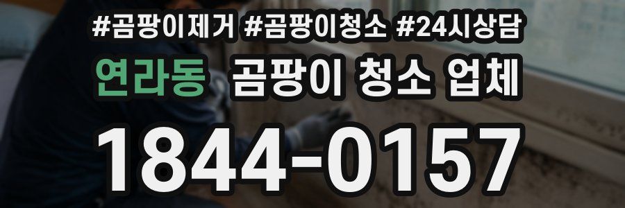 연라동 곰팡이 청소 업체