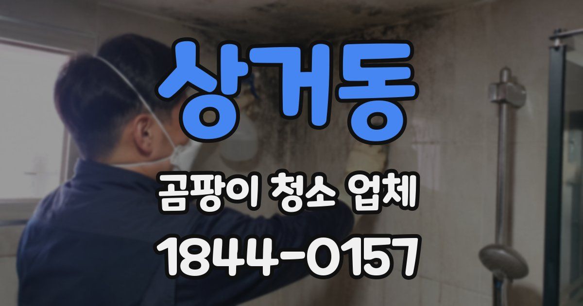상거동 곰팡이 청소 업체