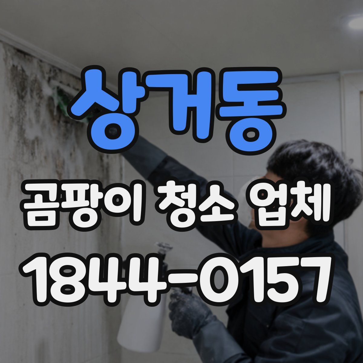 상거동 곰팡이 청소 업체