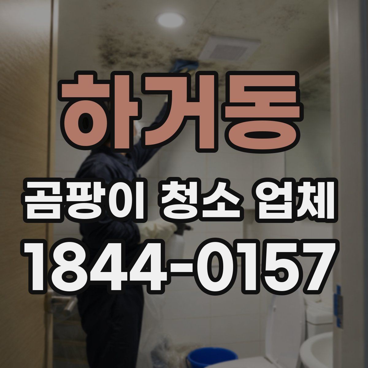 하거동 곰팡이 청소 업체 아이와 반려동물이 함께 사는 집 점검법