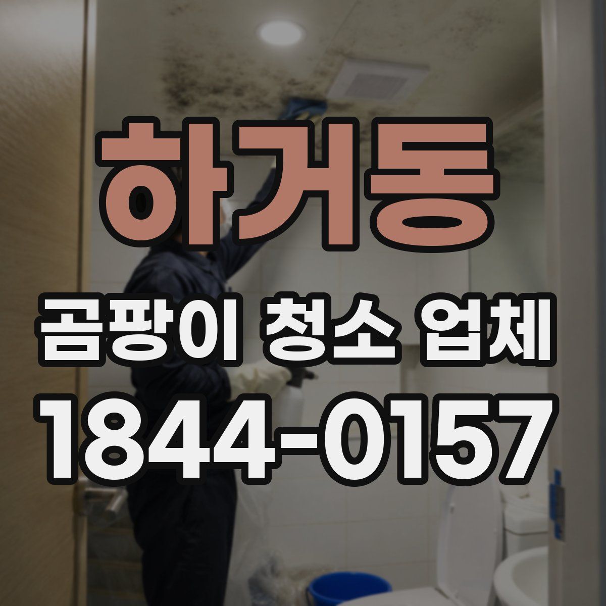하거동 곰팡이 청소 업체