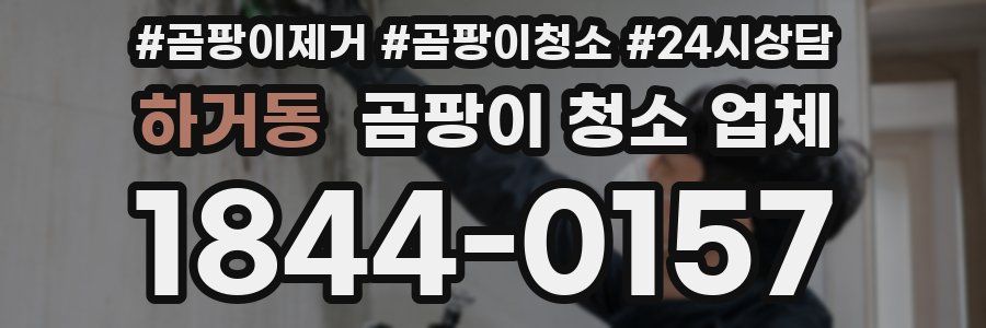 하거동 곰팡이 청소 업체