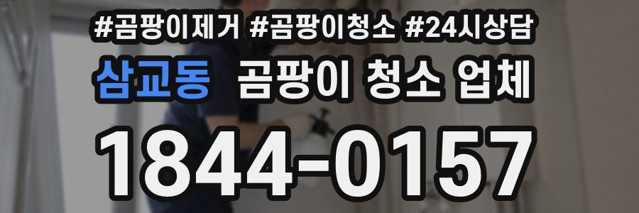삼교동 곰팡이 청소 업체