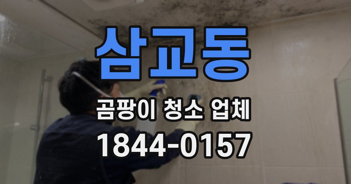 삼교동 곰팡이 청소 업체