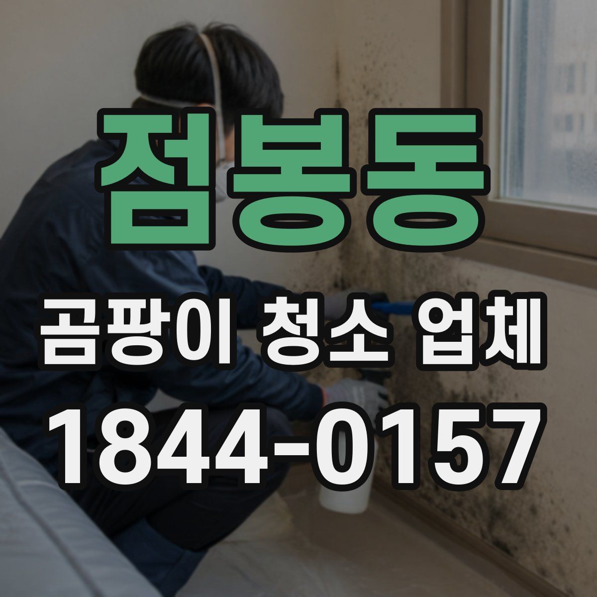 점봉동 곰팡이 청소 업체