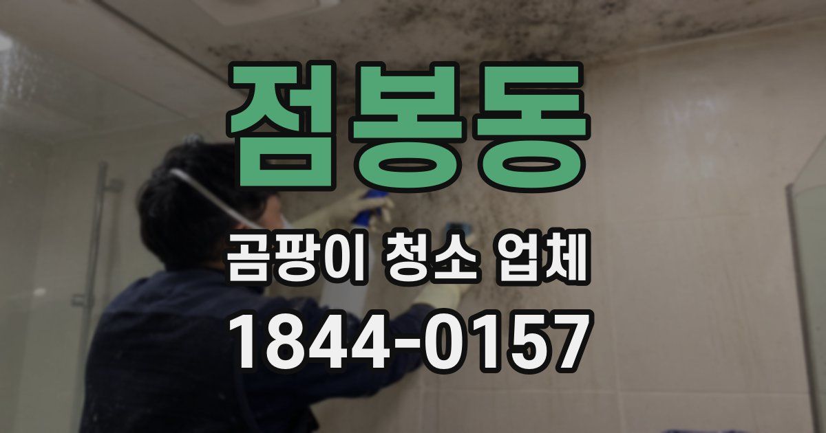 점봉동 곰팡이 청소 업체