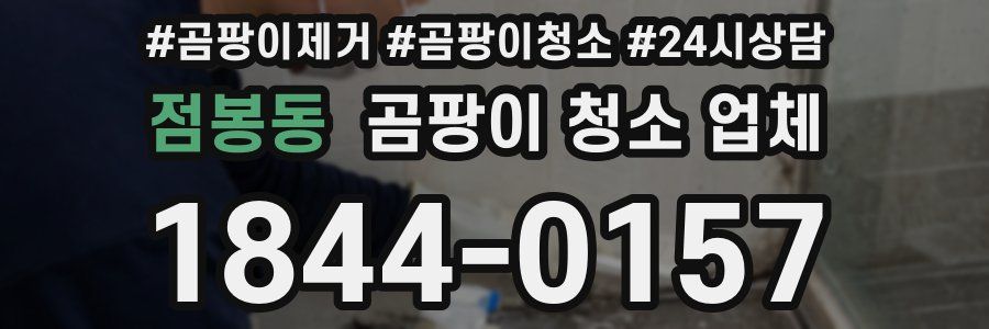 점봉동 곰팡이 청소 업체