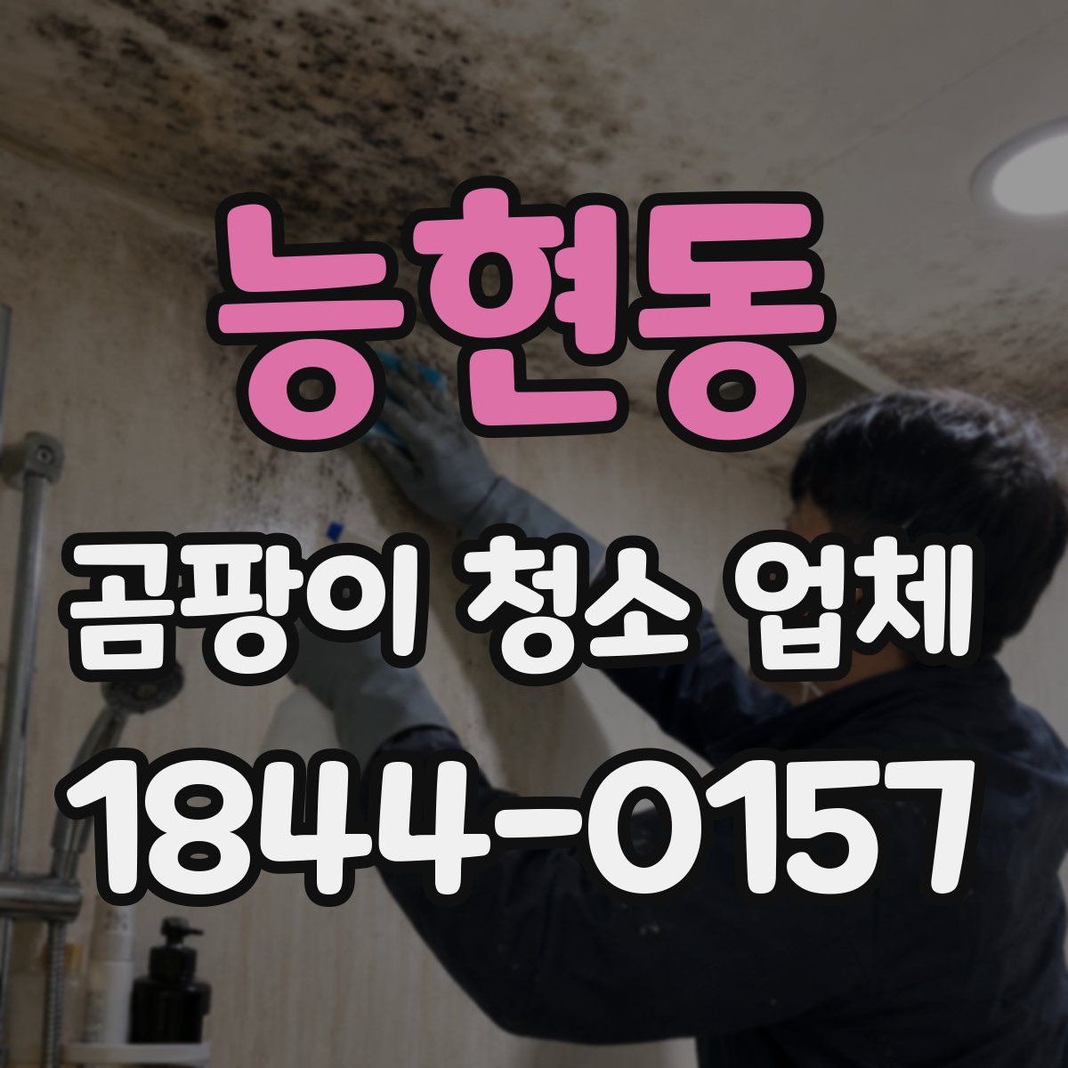 능현동 곰팡이 청소 업체