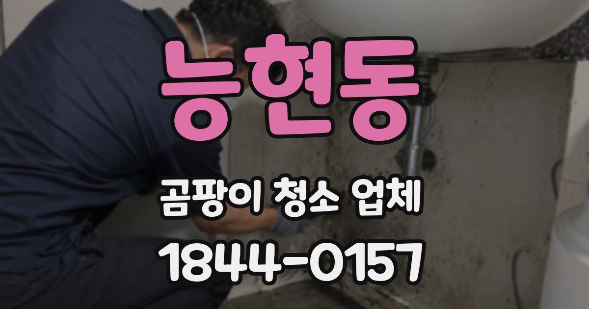 능현동 곰팡이 청소 업체