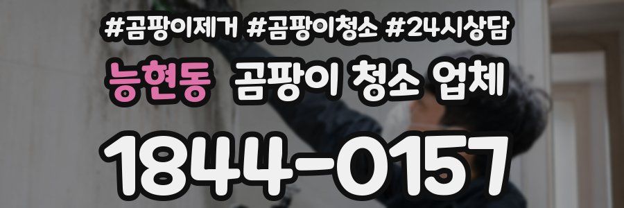 능현동 곰팡이 청소 업체