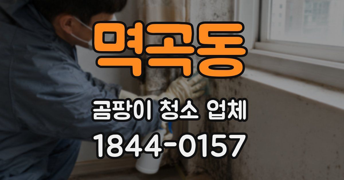 멱곡동 곰팡이 청소 업체