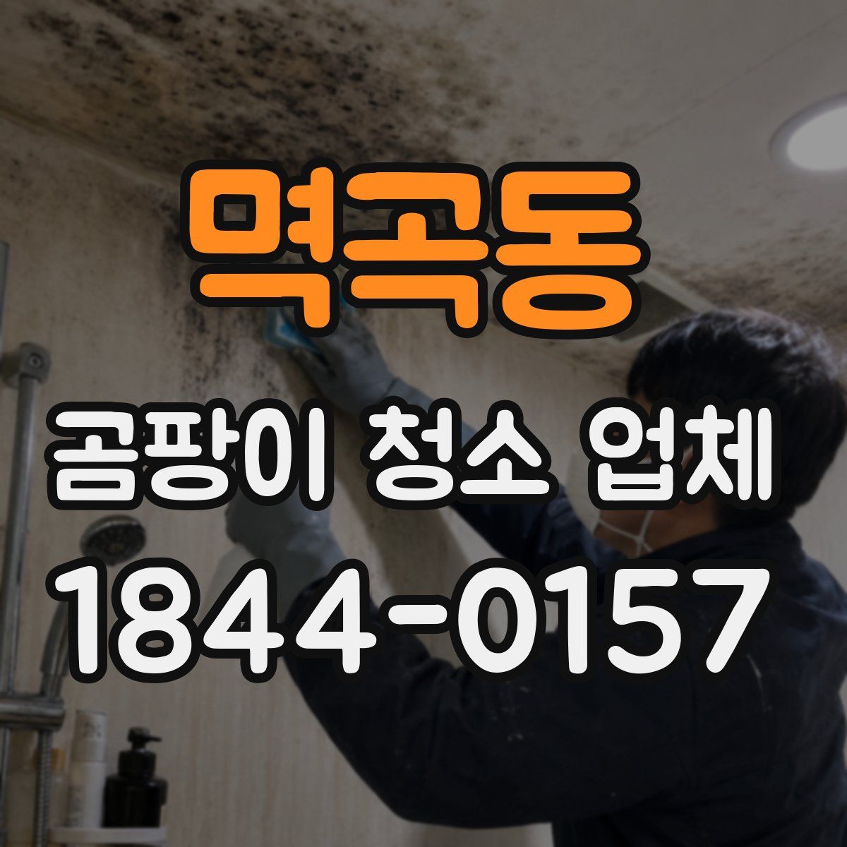 멱곡동 곰팡이 청소 업체