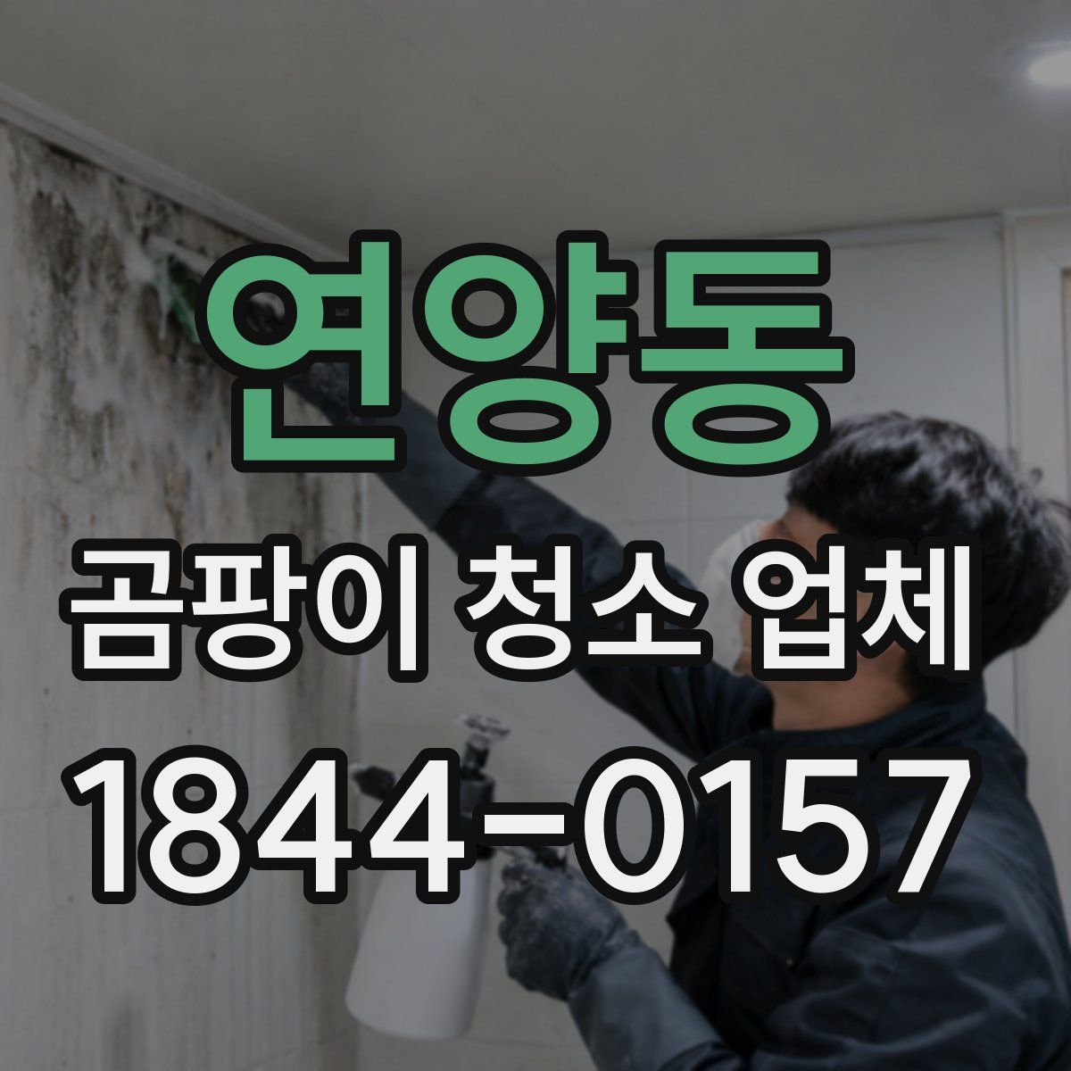 연양동 곰팡이 청소 업체
