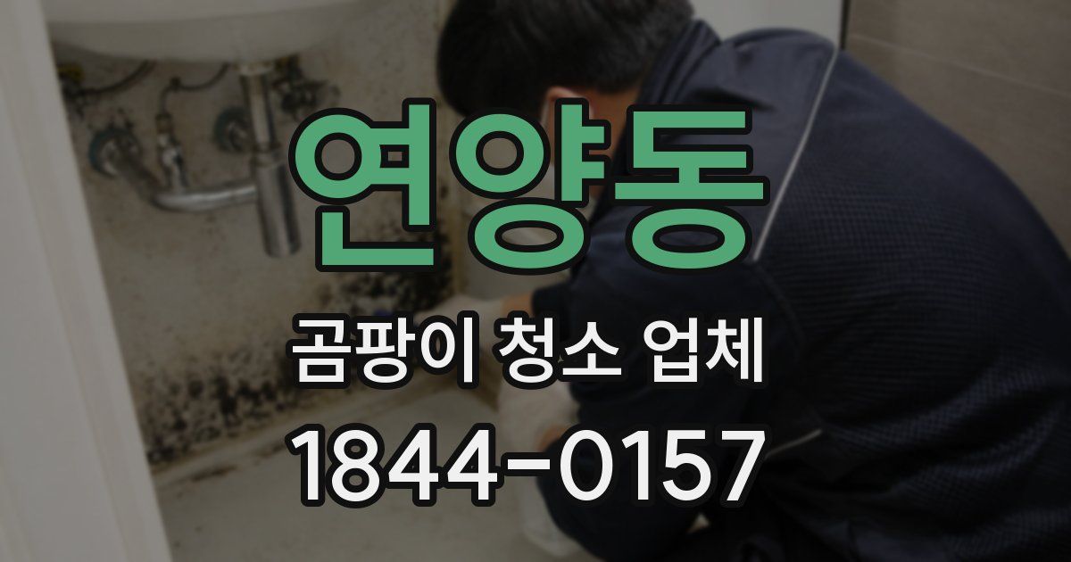연양동 곰팡이 청소 업체