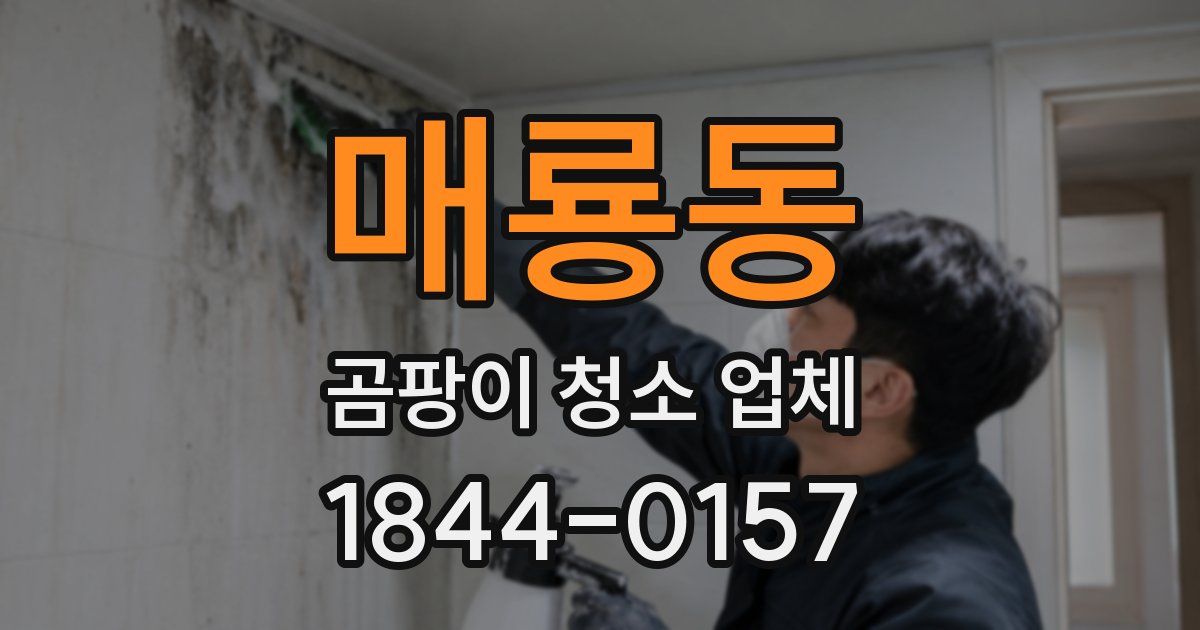 매룡동 곰팡이 청소 업체