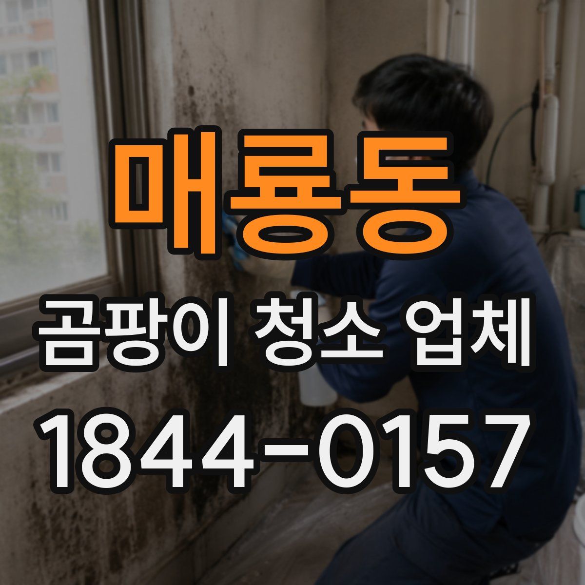 매룡동 곰팡이 청소 업체