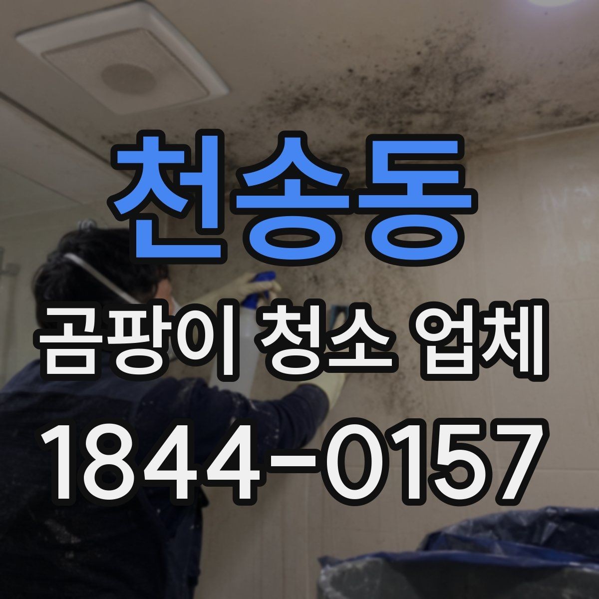 천송동 곰팡이 청소 업체 결로와 누수 구분할 때 살펴볼 부분