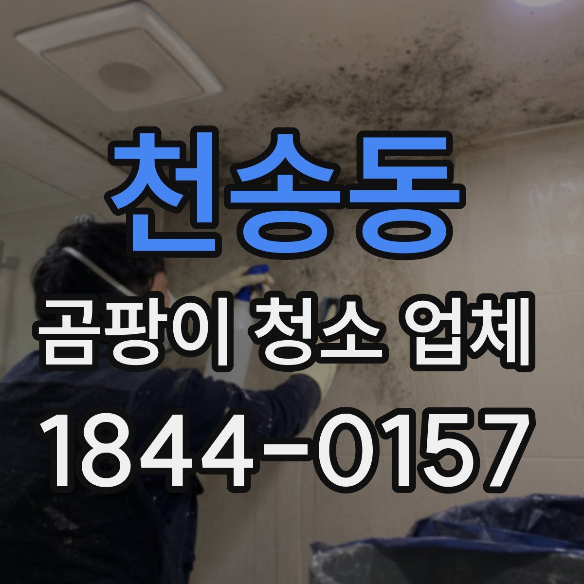 천송동 곰팡이 청소 업체