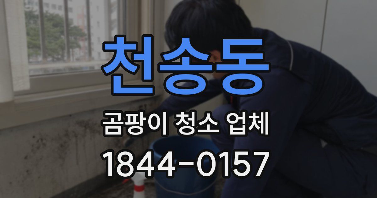 천송동 곰팡이 청소 업체