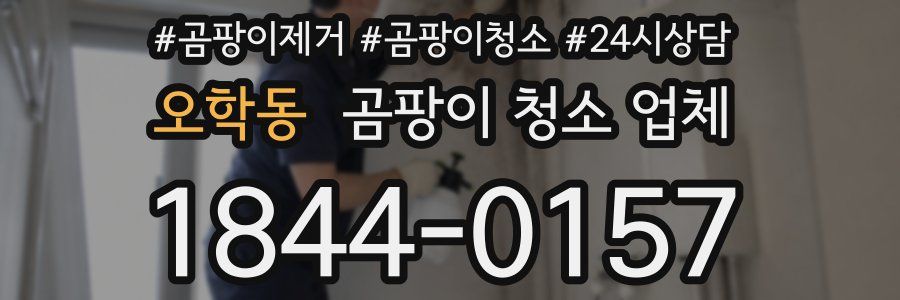 오학동 곰팡이 청소 업체