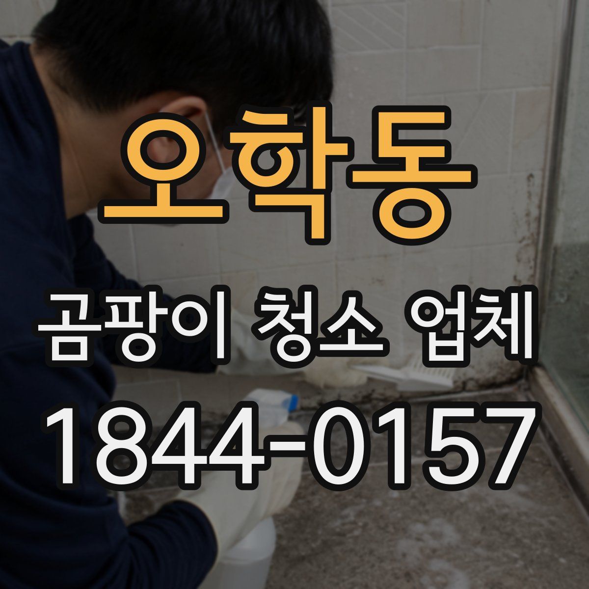 오학동 곰팡이 청소 업체