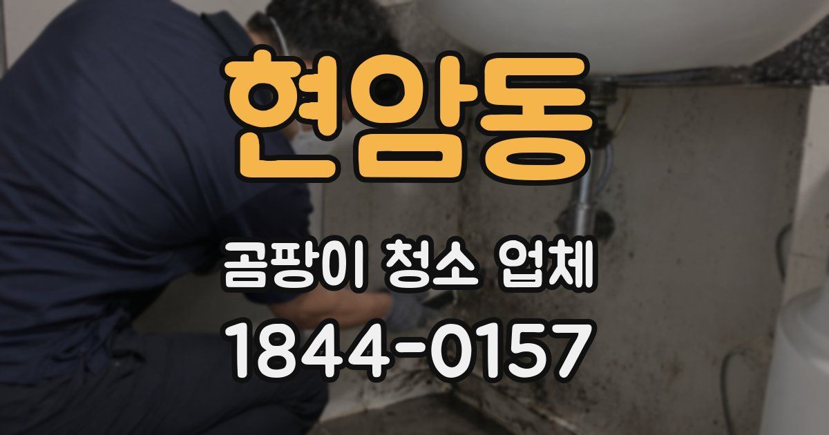 현암동 곰팡이 청소 업체