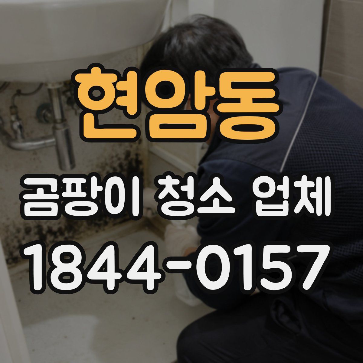 현암동 곰팡이 청소 업체