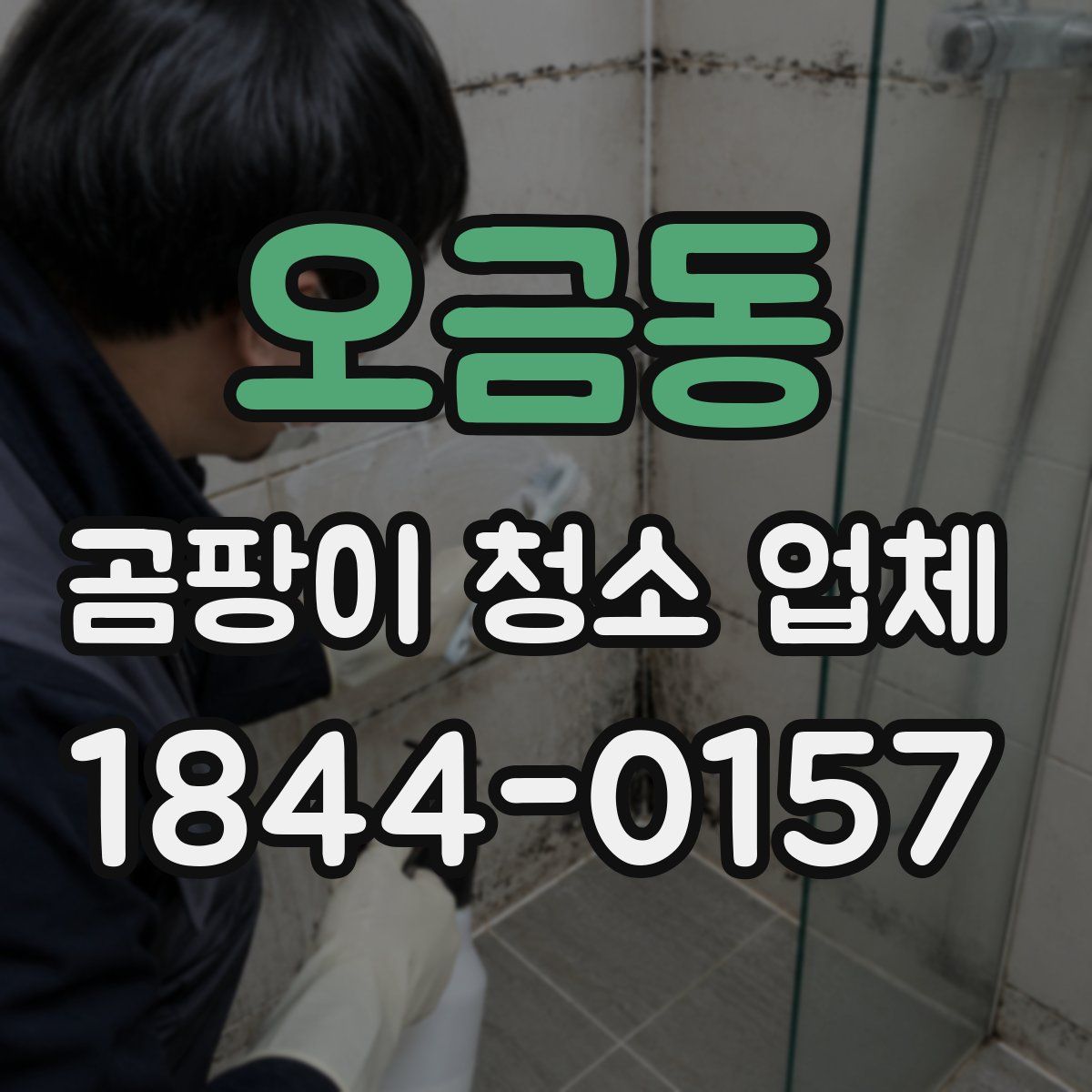 오금동 곰팡이 청소 업체