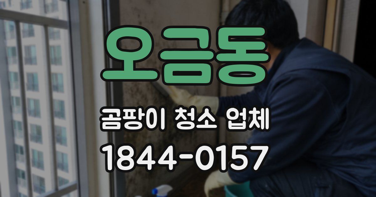 오금동 곰팡이 청소 업체
