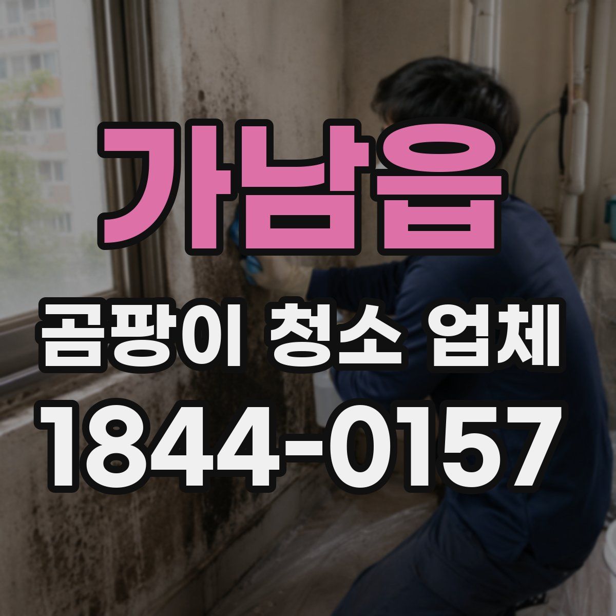 가남읍 곰팡이 청소 업체