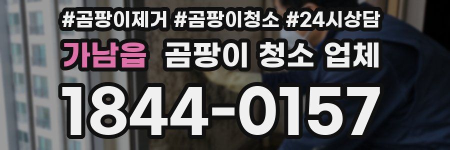 가남읍 곰팡이 청소 업체
