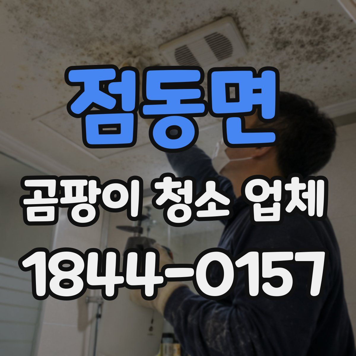 점동면 곰팡이 청소 업체