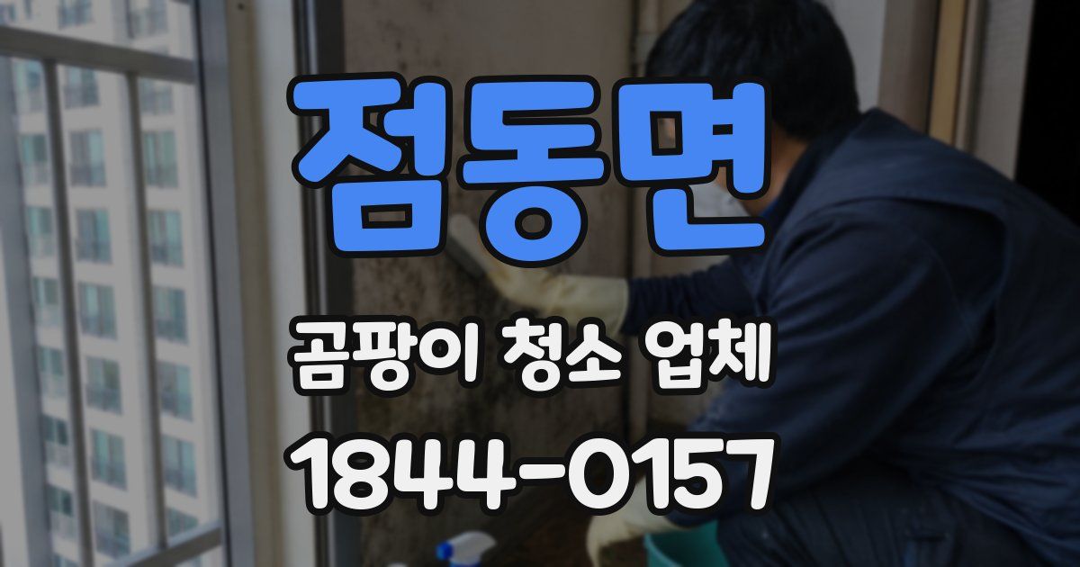 점동면 곰팡이 청소 업체